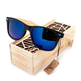 Square Vintage Polarized Sunglasses w/ Gift Box